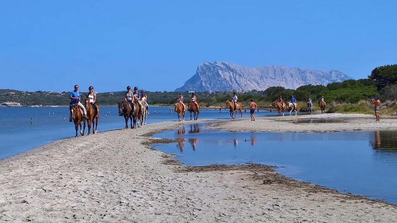 Appartamento Sette Posti Vicino Al Centro Di San Teodoro San Teodoro  Exterior foto